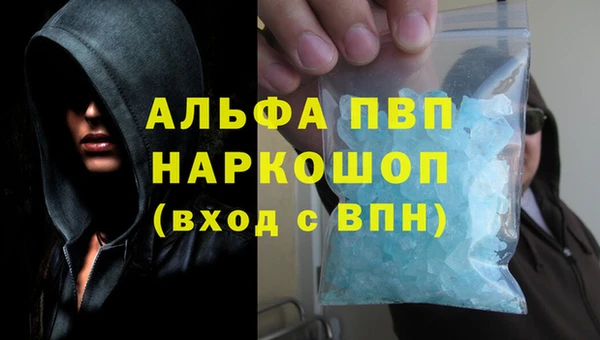 стафф Алзамай
