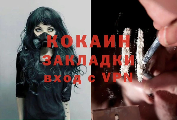 стафф Алзамай