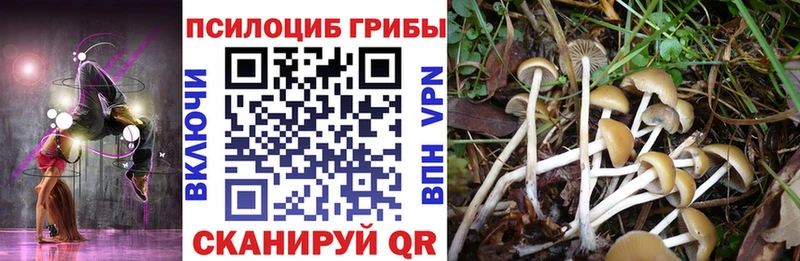 mega tor  Нефтегорск  Галлюциногенные грибы GOLDEN TEACHER 